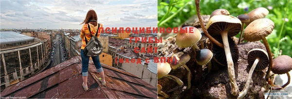 прущая мука Алексин